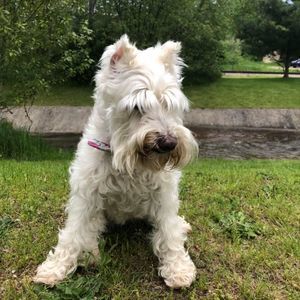 Meet your Posher, Patsy